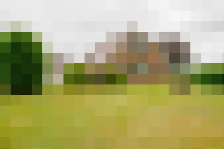 Dalkruid 14 Nijverdal thumbnail 45