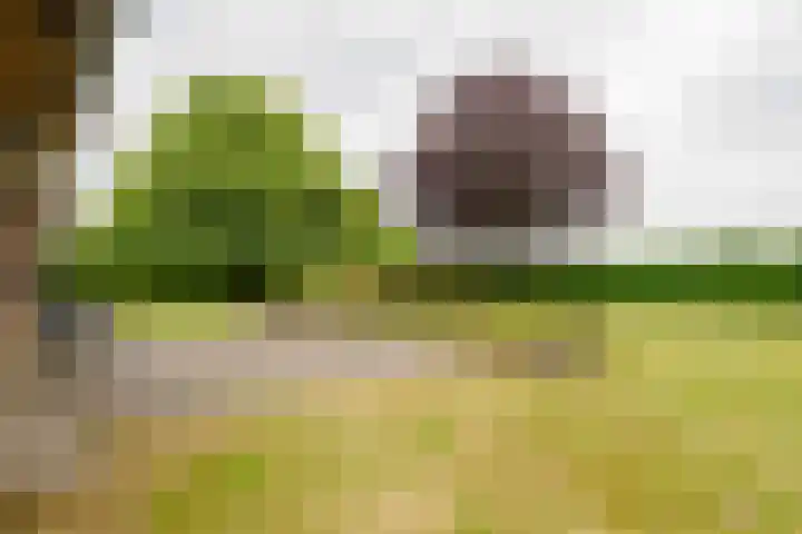 Dalkruid 14 Nijverdal thumbnail 46