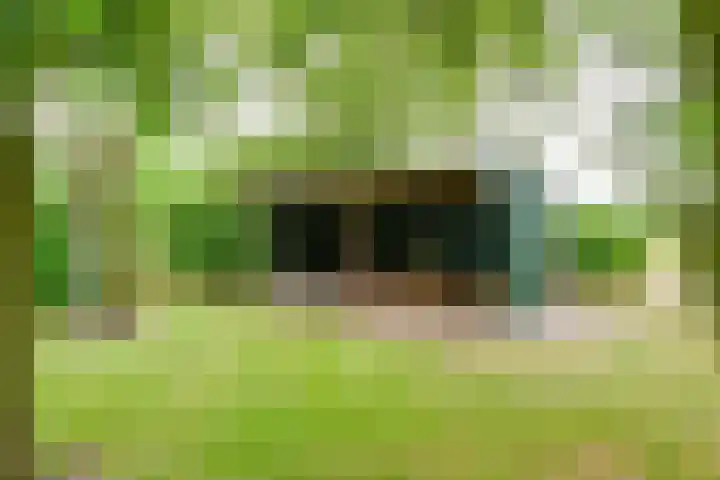 Dalkruid 14 Nijverdal thumbnail 47