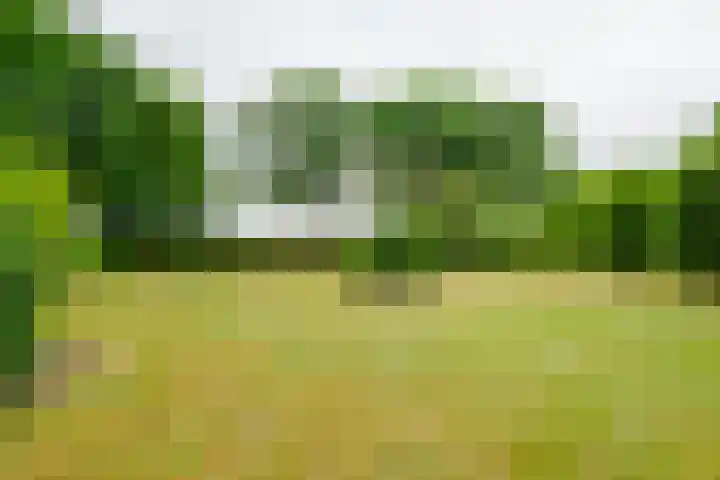 Dalkruid 14 Nijverdal thumbnail 48