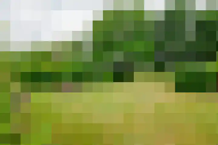 Dalkruid 14 Nijverdal thumbnail 49