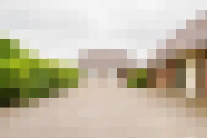 Dalkruid 14 Nijverdal thumbnail 5