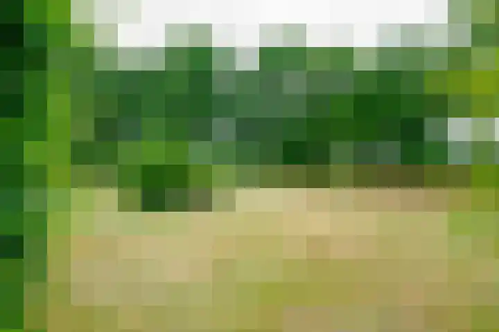 Dalkruid 14 Nijverdal thumbnail 50