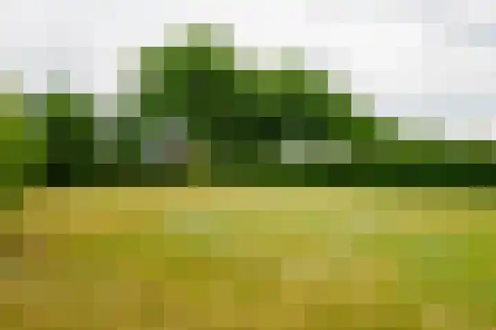 Dalkruid 14 Nijverdal thumbnail 51