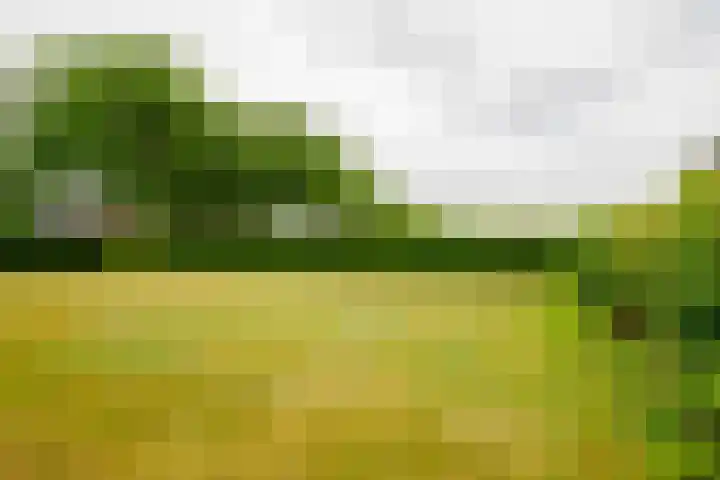 Dalkruid 14 Nijverdal thumbnail 52