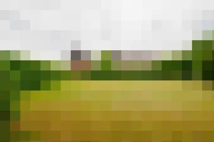 Dalkruid 14 Nijverdal thumbnail 53