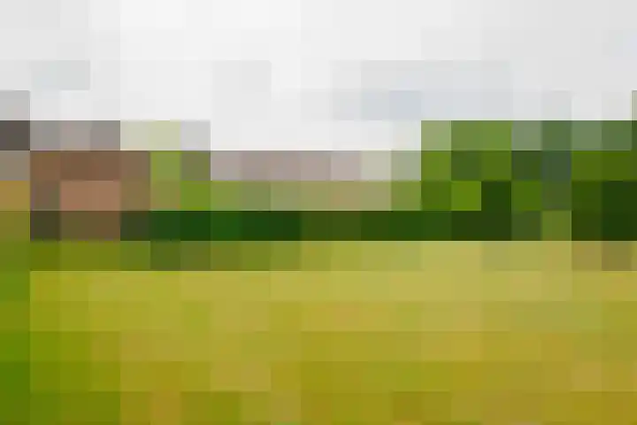 Dalkruid 14 Nijverdal thumbnail 54