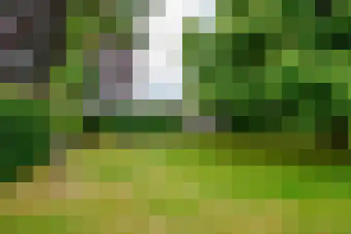 Dalkruid 14 Nijverdal thumbnail 55