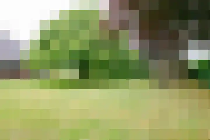 Dalkruid 14 Nijverdal thumbnail 57