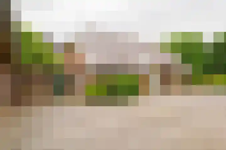 Dalkruid 14 Nijverdal thumbnail 6