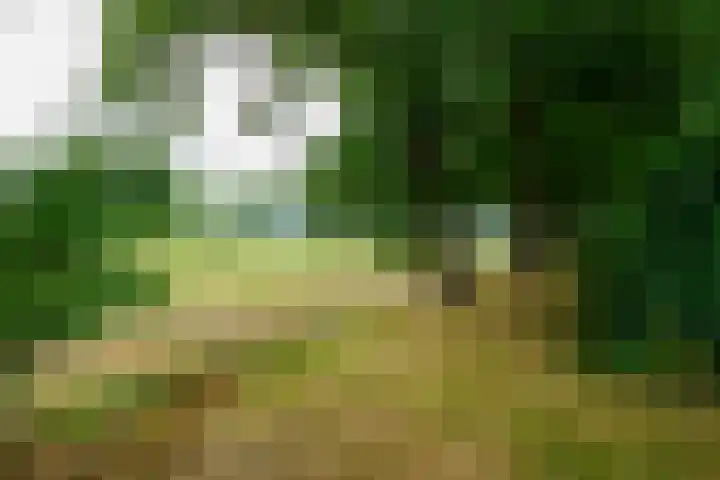 Dalkruid 14 Nijverdal thumbnail 60