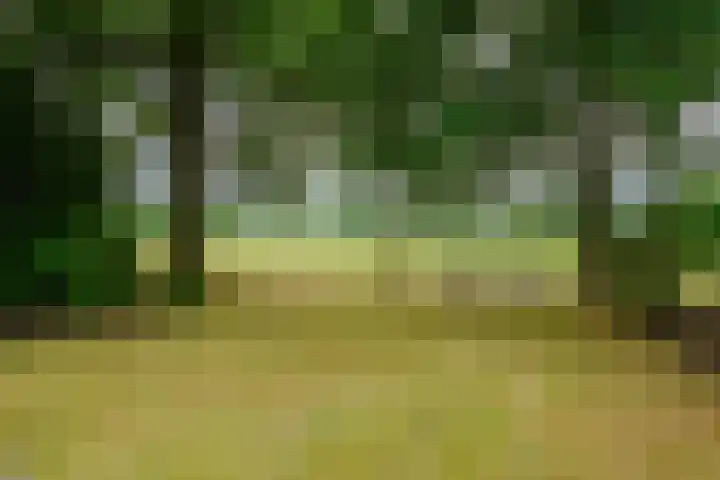 Dalkruid 14 Nijverdal thumbnail 63