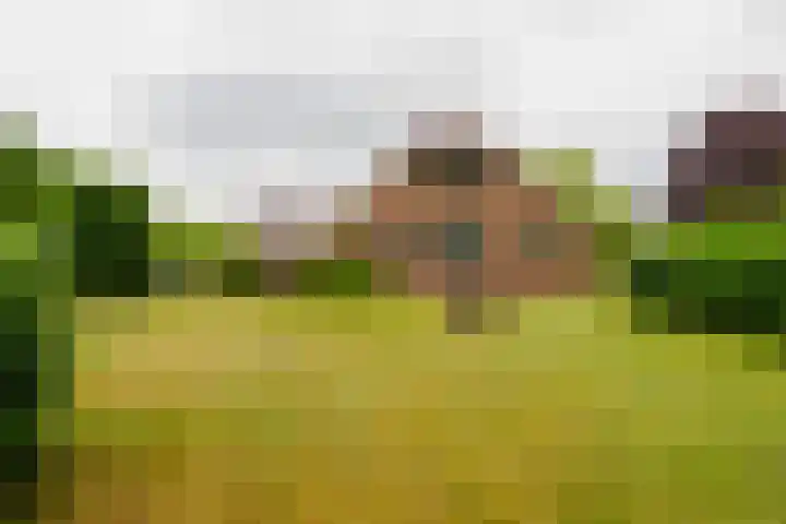 Dalkruid 14 Nijverdal thumbnail 64