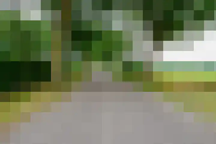 Dalkruid 14 Nijverdal thumbnail 65