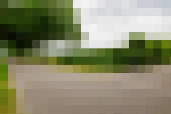 Dalkruid 14 Nijverdal thumbnail 66