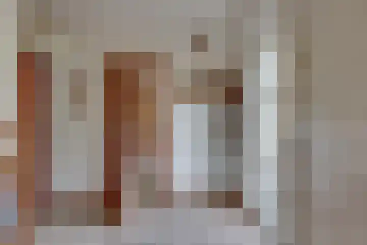 Dalkruid 14 Nijverdal thumbnail 7