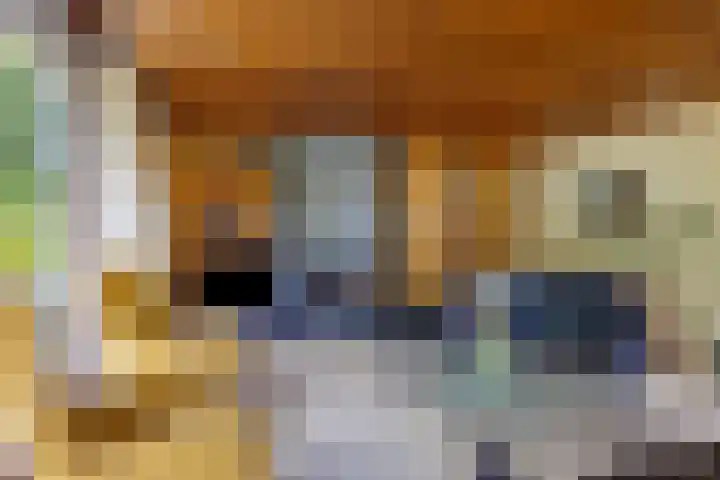 Dalkruid 2 Heerenveen thumbnail 10