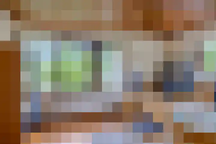 Dalkruid 2 Heerenveen thumbnail 13