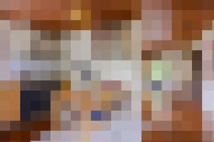 Dalkruid 2 Heerenveen thumbnail 15