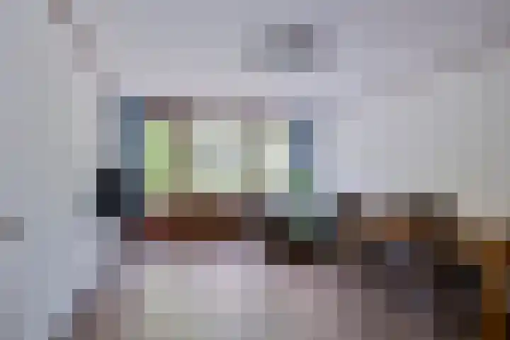 Dalkruid 2 Heerenveen thumbnail 16