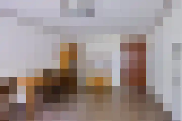 Dalkruid 2 Heerenveen thumbnail 17