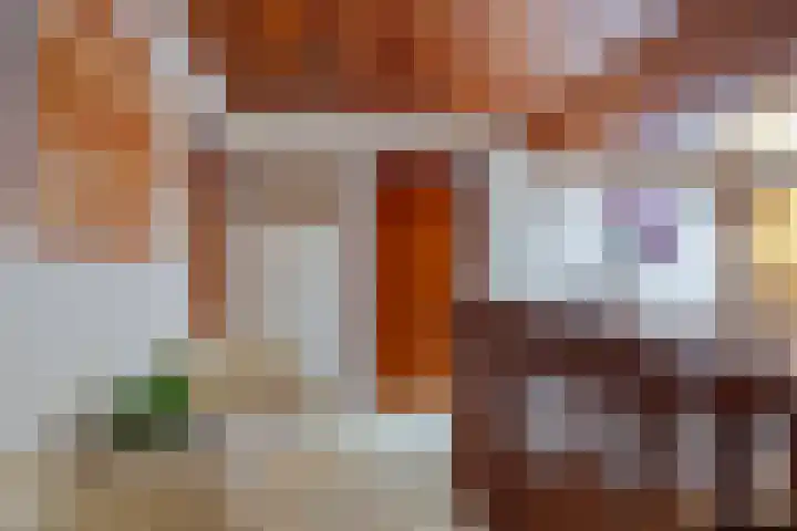 Dalkruid 2 Heerenveen thumbnail 19