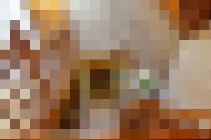 Dalkruid 2 Heerenveen thumbnail 20