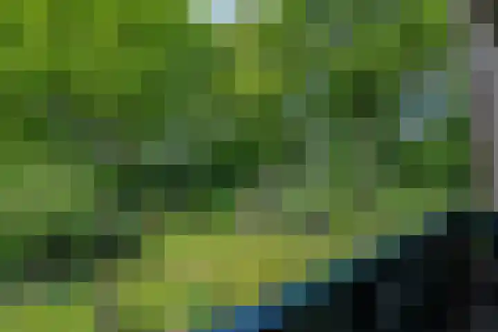 Dalkruid 2 Heerenveen thumbnail 23