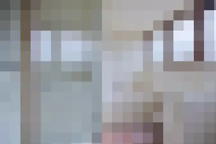 Dalkruid 2 Heerenveen thumbnail 26