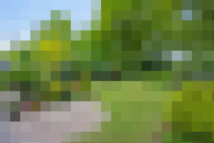 Dalkruid 2 Heerenveen thumbnail 34