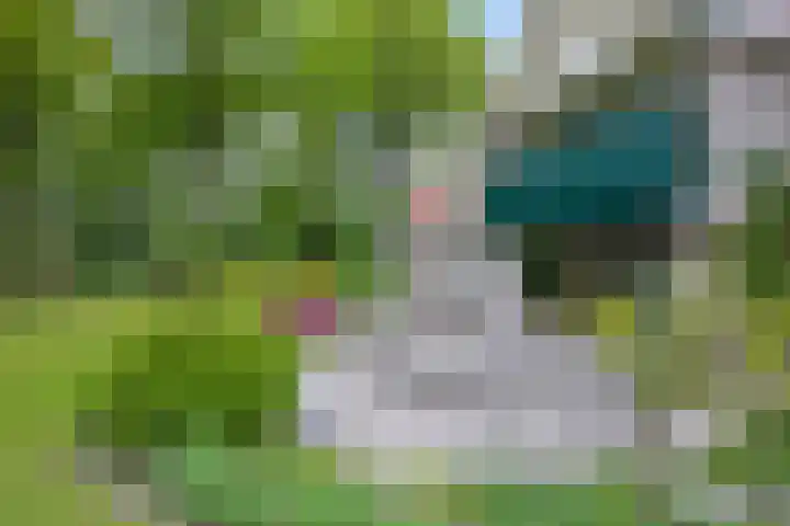Dalkruid 2 Heerenveen thumbnail 36