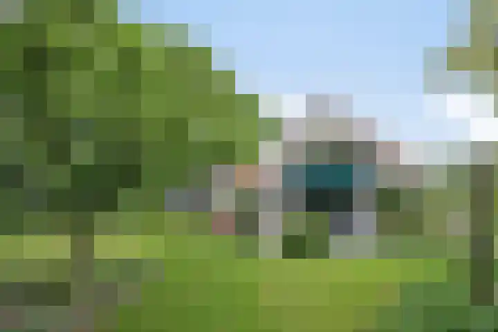Dalkruid 2 Heerenveen thumbnail 37
