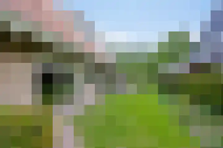 Dalkruid 2 Heerenveen thumbnail 38