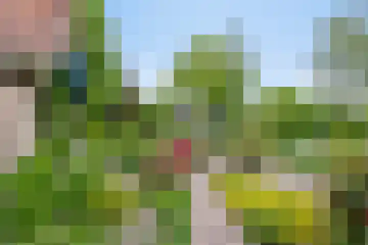 Dalkruid 2 Heerenveen thumbnail 39