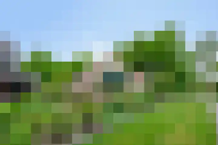 Dalkruid 2 Heerenveen thumbnail 4