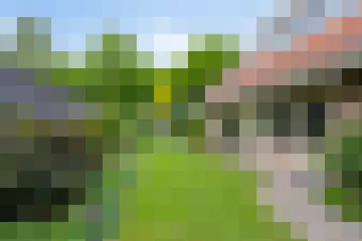 Dalkruid 2 Heerenveen thumbnail 40