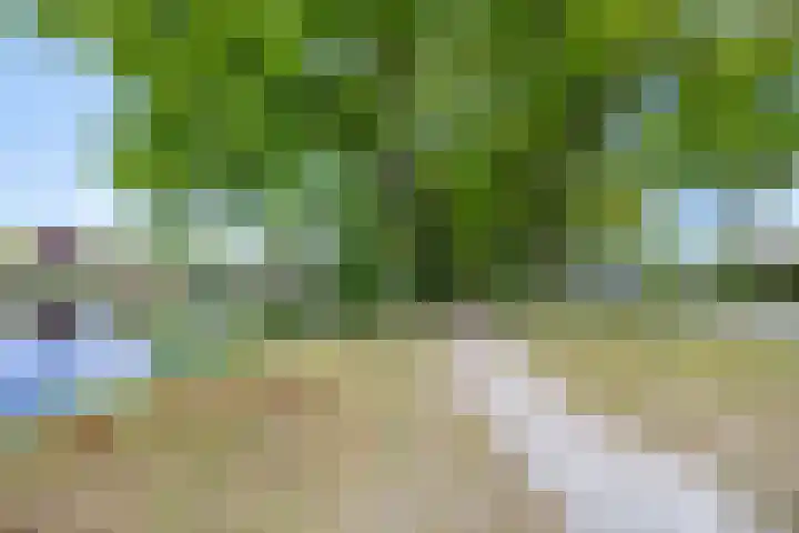 Dalkruid 2 Heerenveen thumbnail 42