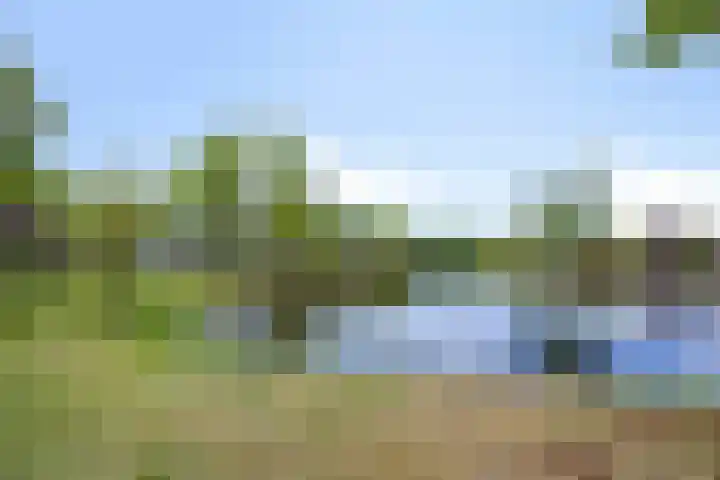 Dalkruid 2 Heerenveen thumbnail 43