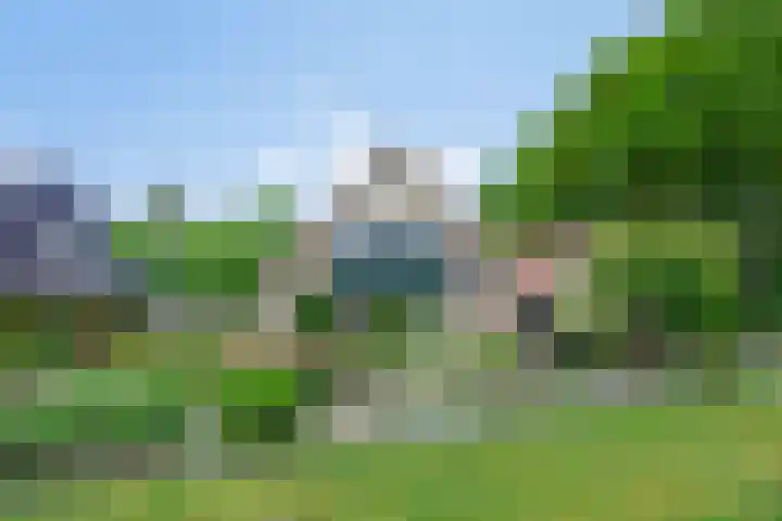 Dalkruid 2 Heerenveen thumbnail 47