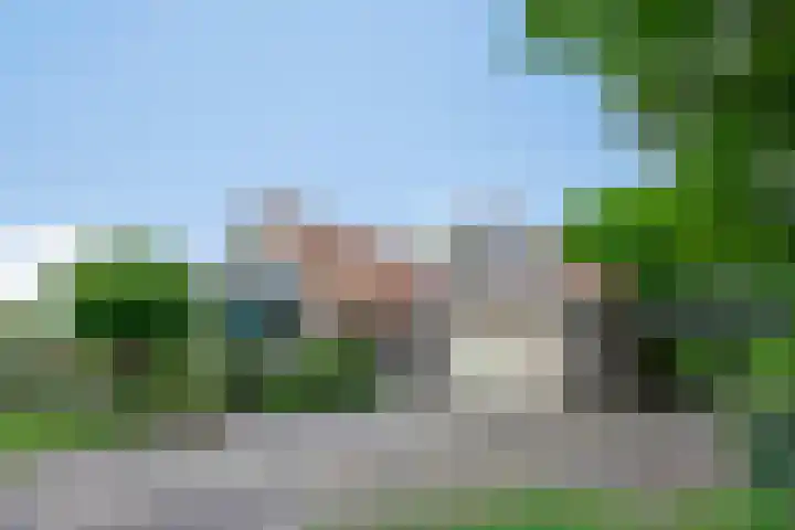 Dalkruid 2 Heerenveen thumbnail 5