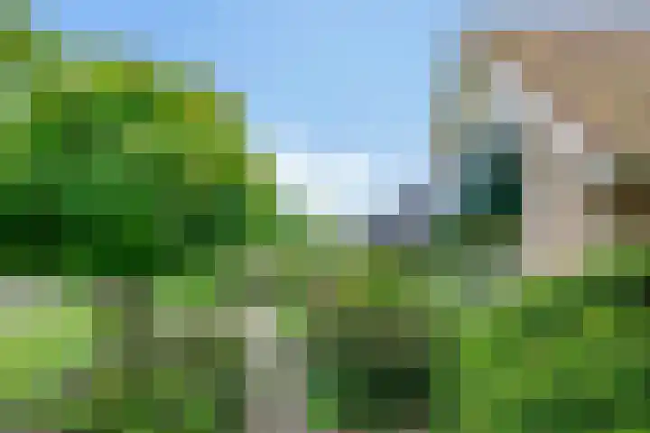 Dalkruid 2 Heerenveen thumbnail 6
