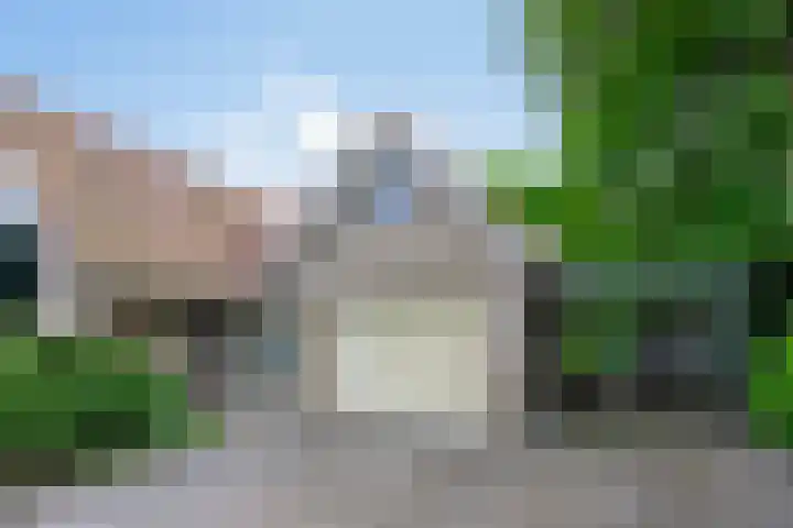 Dalkruid 2 Heerenveen thumbnail 7