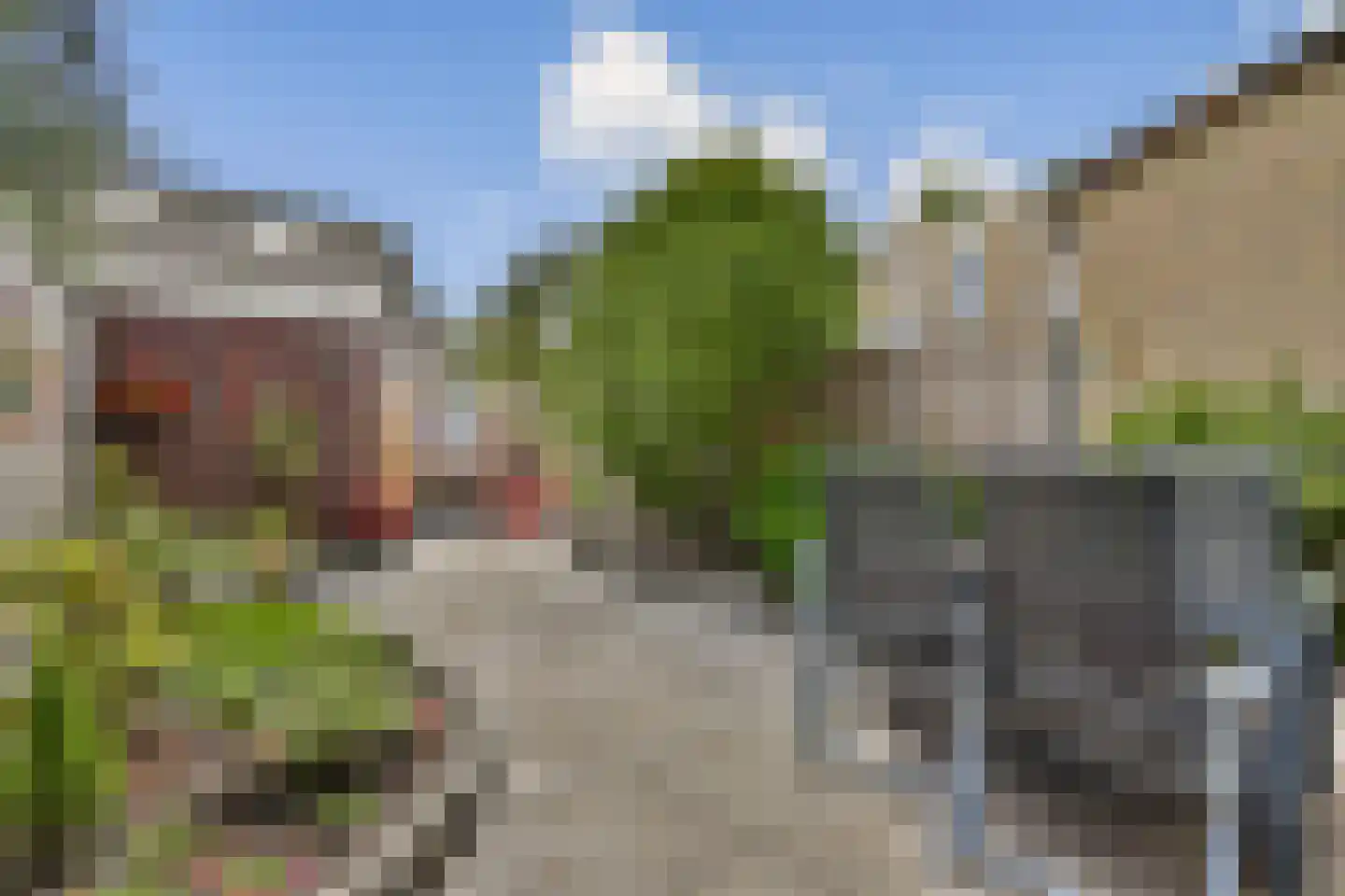 Dalkruid 2 Vlaardingen thumbnail 11