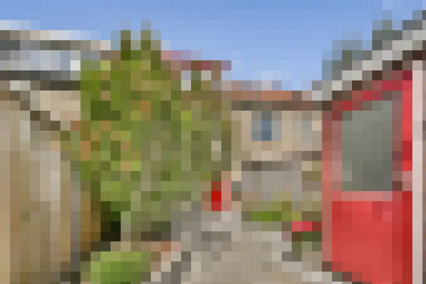 Dalkruid 2 Vlaardingen thumbnail 12
