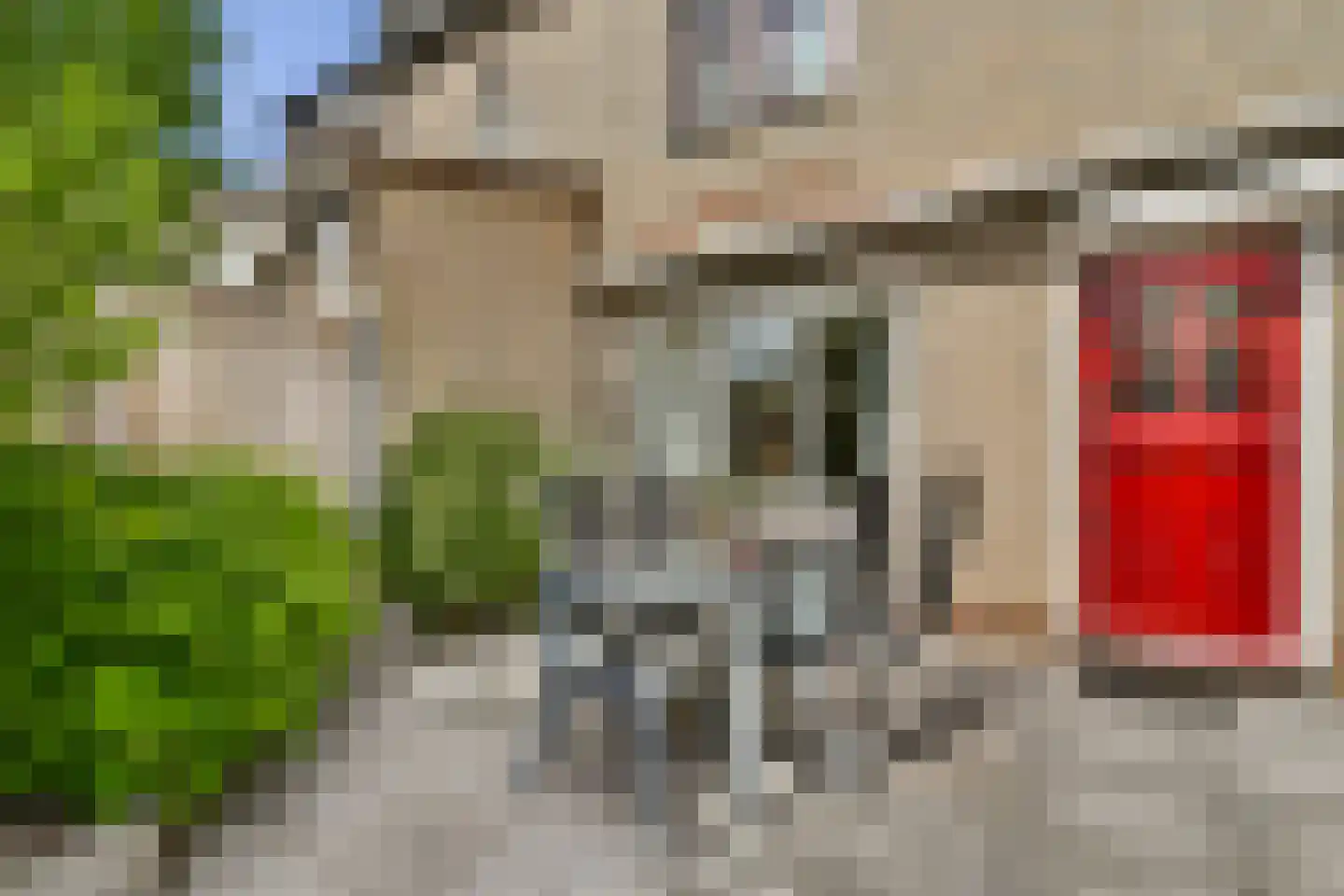 Dalkruid 2 Vlaardingen thumbnail 13