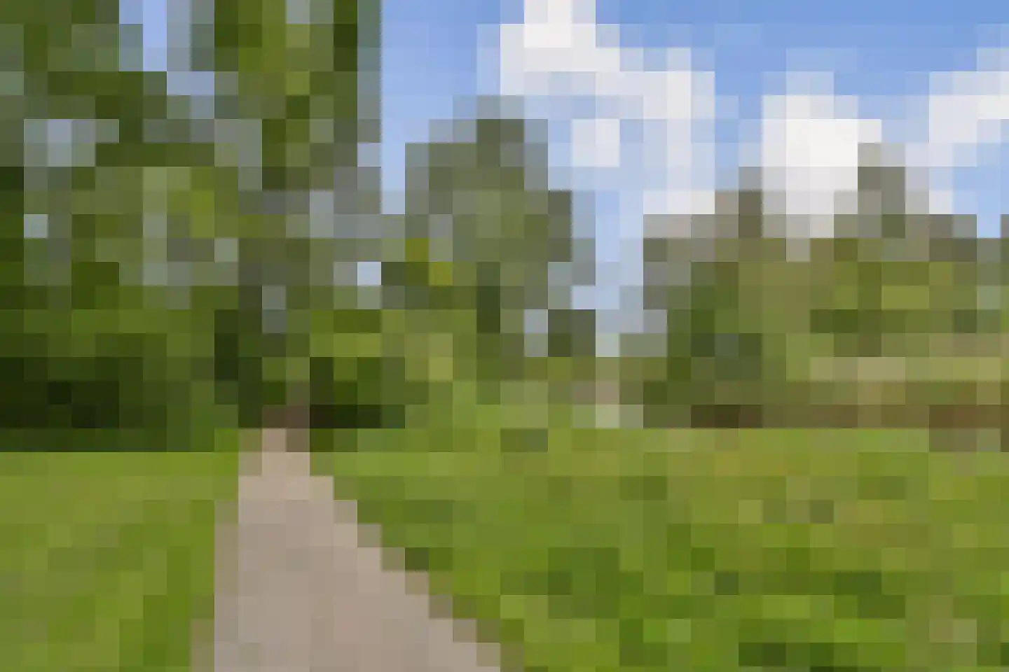 Dalkruid 2 Vlaardingen thumbnail 31