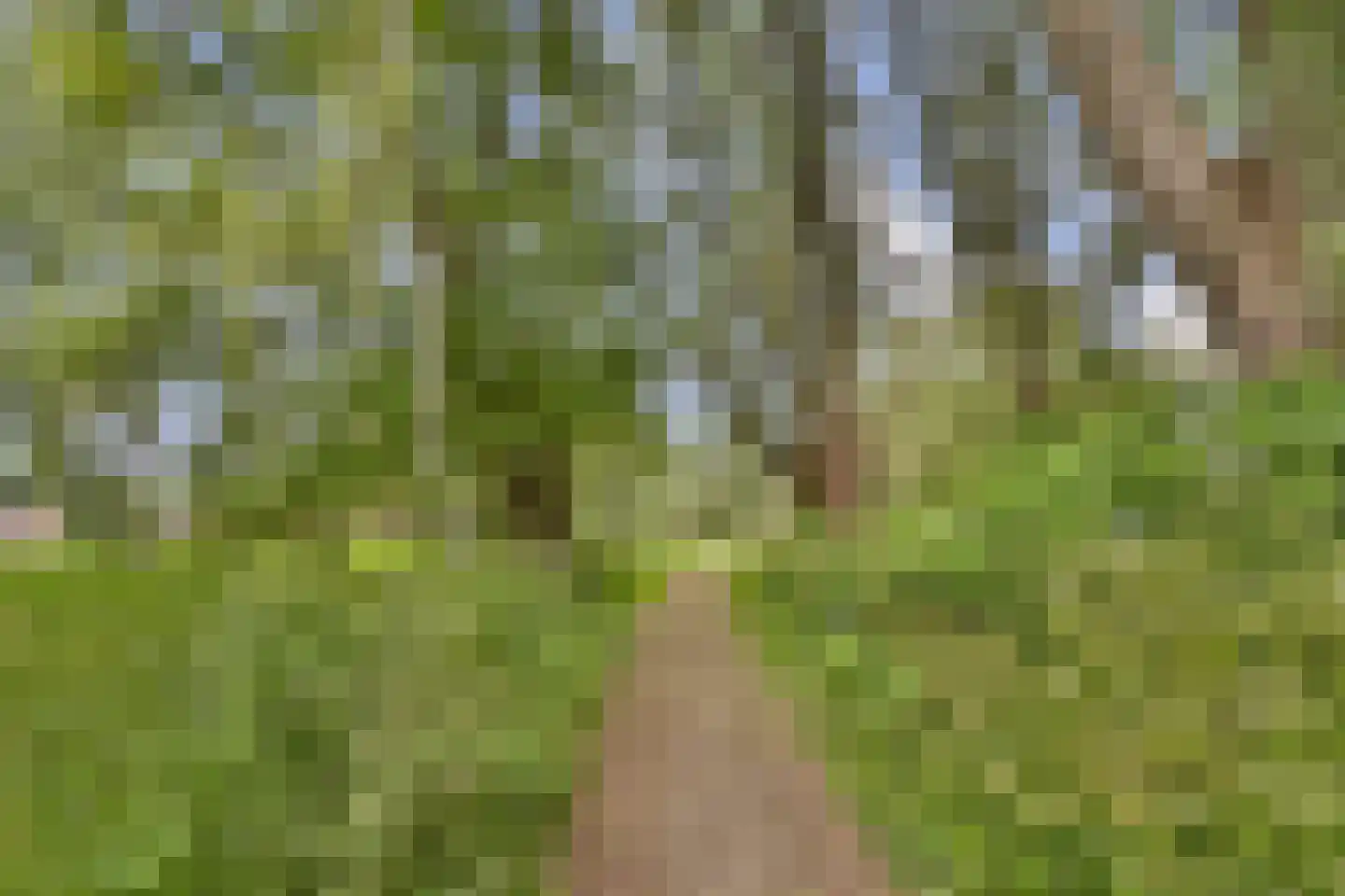 Dalkruid 2 Vlaardingen thumbnail 32