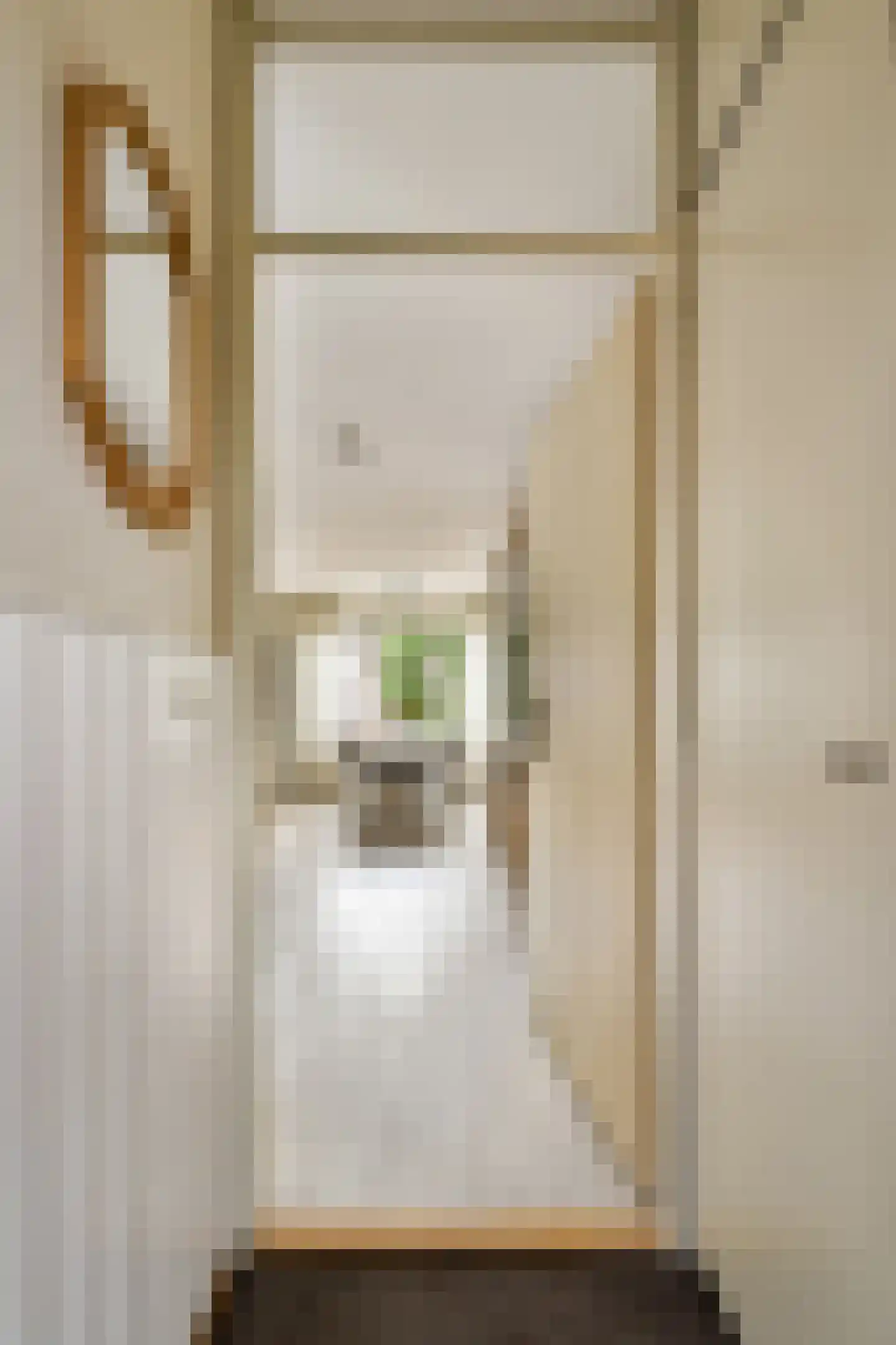 Dalkruid 2 Vlaardingen thumbnail 6