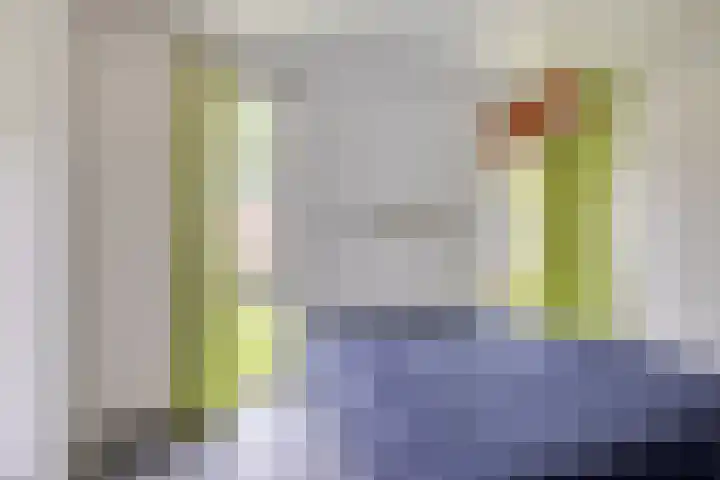 Dalkruid 27 a Nijverdal thumbnail 11