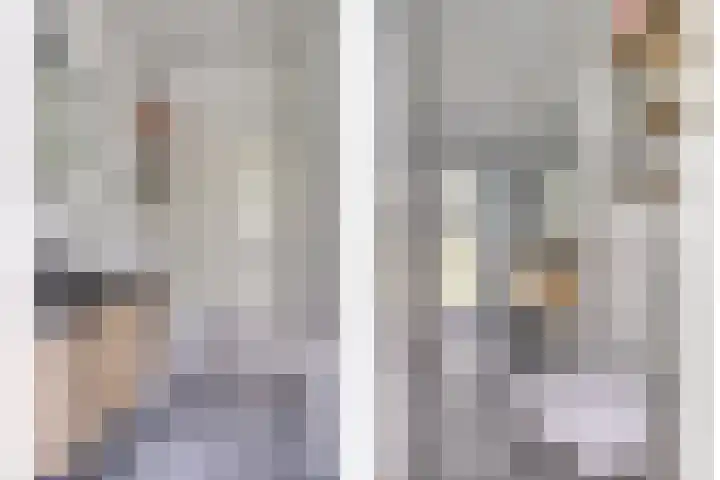 Dalkruid 27 a Nijverdal thumbnail 13